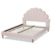 Baxton Studio Odille Pink Velvet Walnut Wood Queen Size Seashell Shaped Platform Bed 163-10333